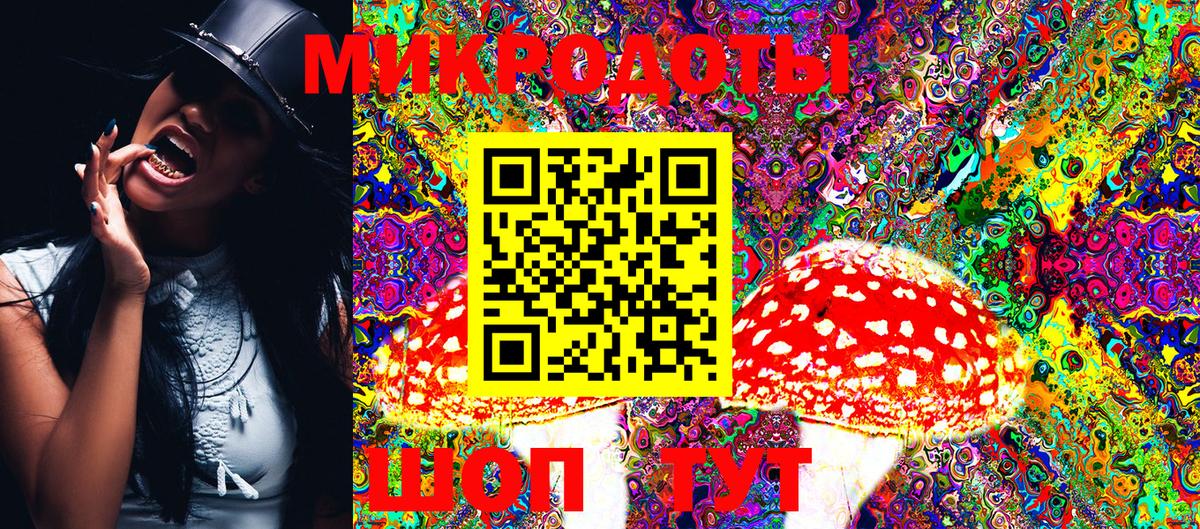 Галлюциногенные грибы Psilocybine cubensis  Вход с VPN  хочу   Оренбург 
